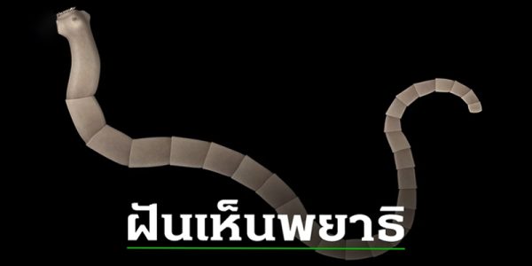 ฝันเห็นพญาธิ