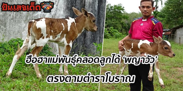 ตำราโบราณ