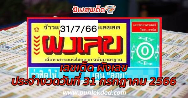 ผังเลข 31/7/2566 คอหวยห้ามพลาด กับ แนวทางซื้อหวยรัฐบาลไทย แม่นๆ