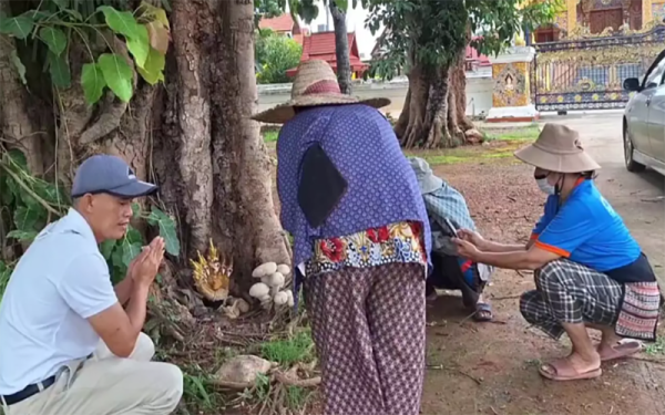 เห็ดใต้ต้นโพธิ์ 