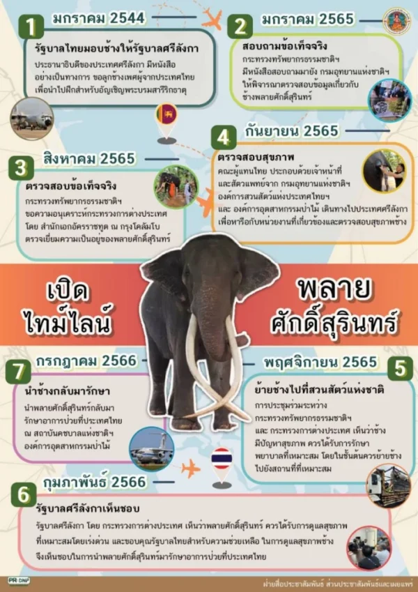 ส่งช้างกลับบ้าน