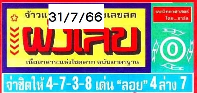 ผังเลข 31/7/2566 - punlekded