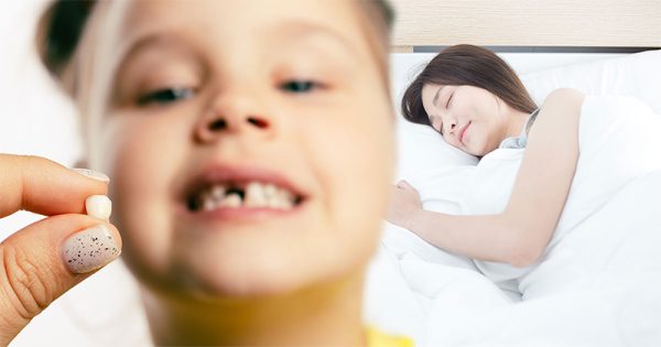 ฝันว่าฟันหลุด1ซี่ล่าง - ปันเลขเด็ด.com