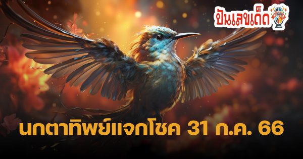นกตาทิพย์ 31/7/66 คอหวยห้ามพลาด กับ แนวทางซื้อหวยรัฐบาลไทย แม่นๆ