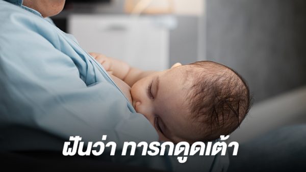  ฝันว่า ทารกผู้ชายดูด เต้า เลขเด็ด