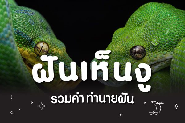 ฝันเห็นงู 2 ตัว