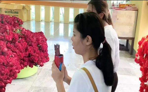 เลขออกวันนี้-punlekded.com