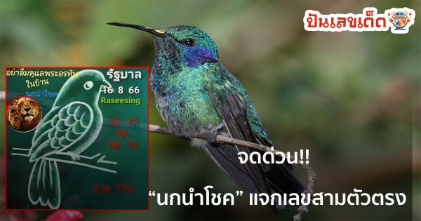 เลขนกนำโชค 16 สิงหาคม 2566 จัดเต็มเน้นล่าง เซียนหวยพลาดไม่ได้รีบส่องด่วน!