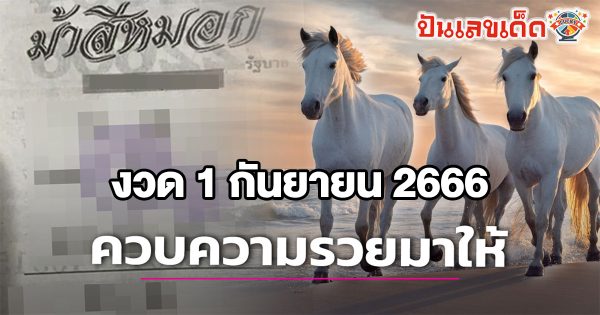 เลขม้าสีหมอก 1 9 66 หวยรัฐบาล หวยให้โชค ควบแรงแซงโค้ง ที่นี่