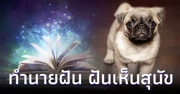 ฝันว่าโดนสุนัขกัดขา