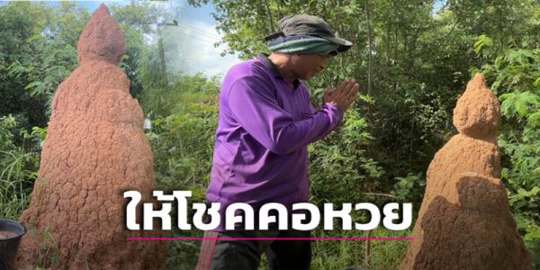 เลขเด็ด จอมปลวก