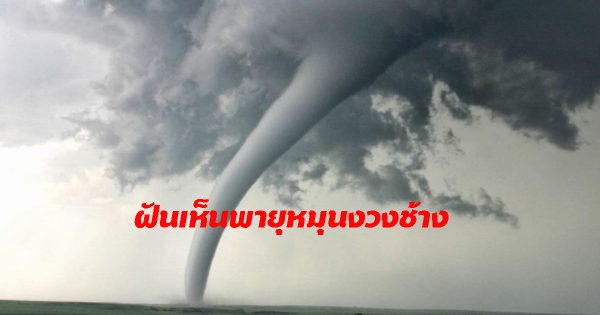 ฝันเห็นพายุหมุนงวงช้าง
