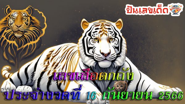 เลขเสือตกถังพลังเงินดี ปี 66 งวด16/9/66 หวยซองแม่นๆ หวยเด็ดงวดนี้