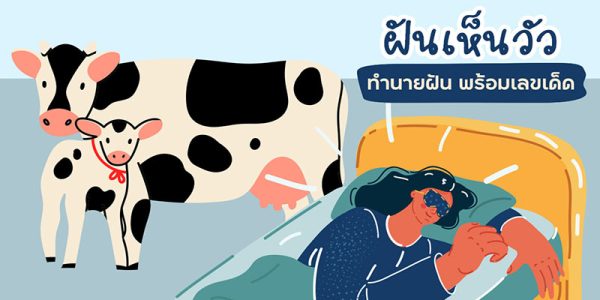 ฝันเห็นวัวเป็นฝูง