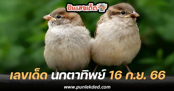 นกตาทิพย์ 16 9 66 แนวทางหวยรัฐบาล แบ่งปันฟรีเลขเน้นๆ เลขเด่นมาแรง!