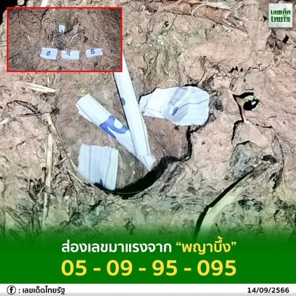  เลขพญาบึ้ง 16 9 66-punlekded