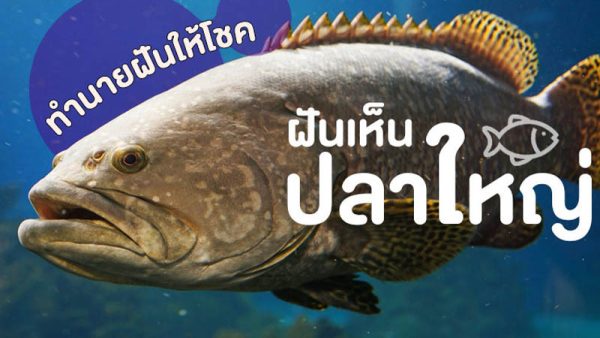 ฝันเห็นปลา 