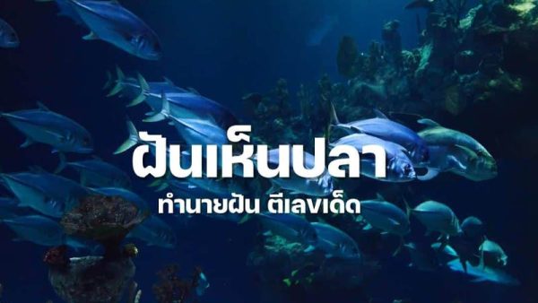 ฝันเห็นปลาเยอะมาก