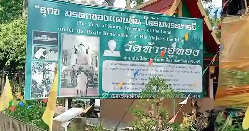 หวย ไทยรัฐ เดลิ นิ ว ส์ 16 9 66