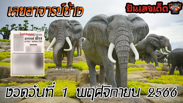 เลขอาจารย์ช้างงวดวันที่ 1 พฤศจิกายน 2566 คอหวยห้ามพลาดส่องเลขเด็ด 2ตัว 3ตัว แนวทางแม่นๆรีบจดด่วน