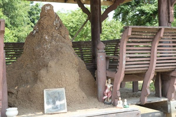 เลขเด็ด จอมปลวก - Lucky number anthill