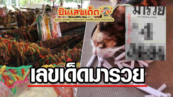 เลขมารวย 16 10 66 แนวทางซื้อหวยรัฐบาล แม่นๆ แนวทางเลข 2 ตัวและ3ตัว เน้นๆ คอหวยรีบจดด่วน!!