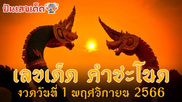 เลขคำชะโนด 1 11 66 | ปันเลขเด็ดดอทคอม แจก แนวทางหวยรัฐบาลไทย