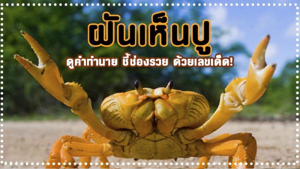 ฝันเห็นปู-"Dream of seeing a crab."