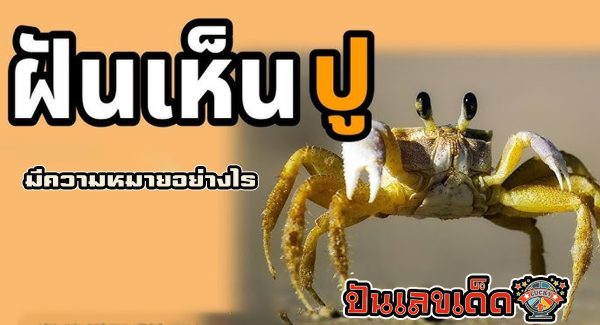 ทำนายฝัน ฝันเห็นปู ตามตำราทำนายฝันระบุความหมายว่านับว่าเป็นโชคดีจะได้รับทรัพย์ก้อนใหญ่
