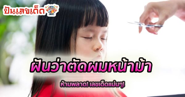 ฝันว่าตัดผมหน้าม้า หมายความว่าอย่างไร พร้อมเลขเด็ด แม่นๆ ที่เกี่ยวกับความฝัน เช็กเลย!