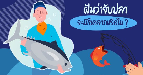 ฝันว่าจับปลาช่อน เลขเด็ด-"Dreaming of catching snakehead fish, lucky numbers"