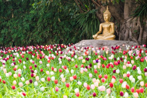ฝันเห็นพระพุทธชินราช -"Dreaming of seeing Buddha Chinnarat, lucky numbers"