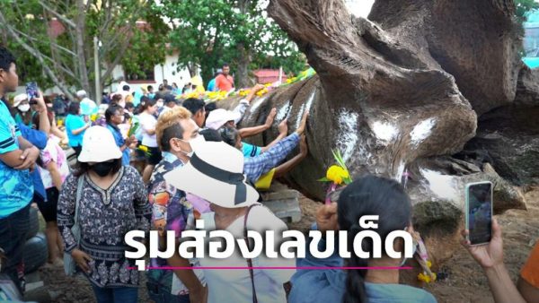 ส่องเลขต้นตะเคียนยักษ์ 200 ปี-''Latest news about Goddess Takhian''