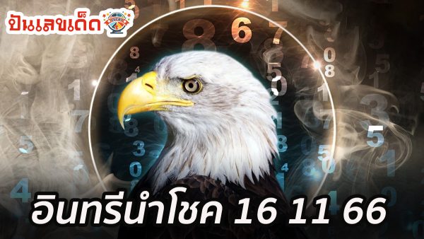 อินทรีนำโชค 16 11 66 เลขเด็ดมาแรง แนวทางสลากกินแบ่งรัฐบาล งวดวันที่ 16 พฤศจิกายน 2566