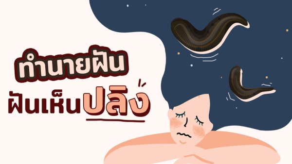 เลขเด็ดจากความฝัน-"Lucky numbers from dreams"