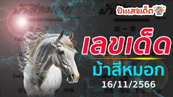 แจกแนวทาง หวรัฐบาลไทย หวยซอง ม้าสีหมอก งวดวันที่ 16 พฤศจิกายน 2566 | ปันเลขเด็ดดอทคอม