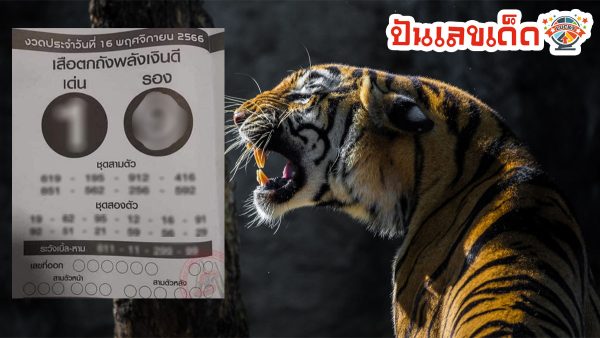 เลขเสือตกถังพลังเงินดี 16 11 66  ปล่อยแนวทางเลขเด็ดปังๆ จัดเต็มเหนี่ยว ส่องเลขคัดซื้อลุ้นรวยงวด 16 พฤศจิกายน 2566