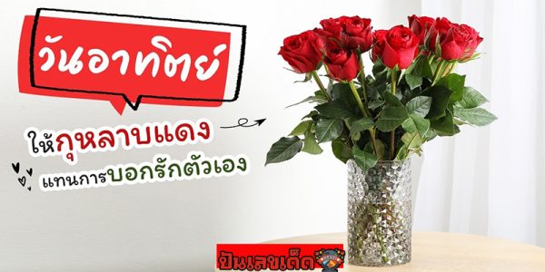 ดูดวงวันนี้ 12/11/66-"Today's horoscope 12-11-66"