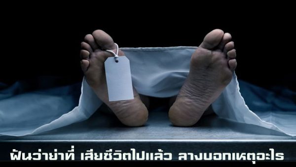 ทำนายฝัน พร้อมตีเลขเด็ด -"Dream interpretation and lucky numbers"