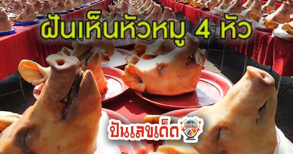 ฝันเห็นหัวหมู 4หัว สามารถเป็นได้ทั้งฝันมงคลและฝันอัปมงคล พร้อมแนะนำแนวทางเลขเด็ดน่าสนใจต่างๆ ที่นี่!