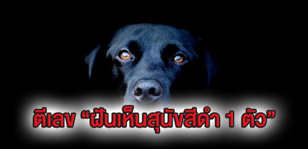 ฝันเห็นสุนัขเข้าบ้าน-''Dream of seeing a dog enter the house''