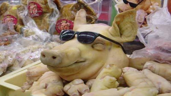 ฝันเห็นหัวหมู ไก่-"Dream of seeing a pig or chicken head."