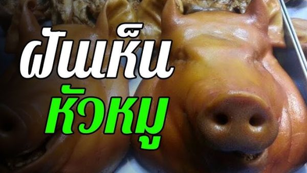 ฝันเห็นหัวหมูเลขเด็ด - "Dream of seeing a pig's head, lucky number"