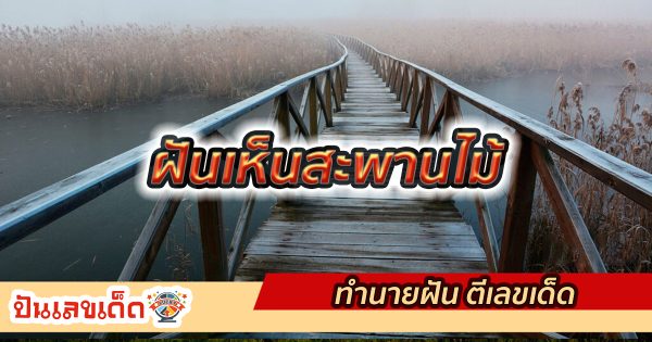 ฝันเห็นสะพานไม้ ทำนายฝันว่าอย่างไร รวมเลขเด็ดแม่น ๆ เลขมงคล ทำนายฝัน เตรียมรับทรัพย์ หวยงวดนี้