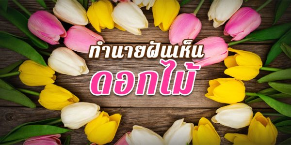 ฝันเห็นดอกไม้บานสะพรั่ง-"Dream of seeing flowers blooming"
