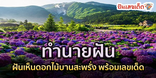 รวมทำนายฝันเห็นดวงไม้ หรือฝันเห็นดอกไม้บานสะพรั่ง แปลว่าอะไร มีเลขเด็ด หรือว่ามีโชคลาภอะไร วันนี้เราจะมาเผยความหมายของความฝัน พร้อมเลขเด็ดมาบอกกันค่ะ