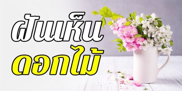 ฝันเห็นดอกไม้บานเต็มต้น-"Dream of seeing flowers in full bloom"