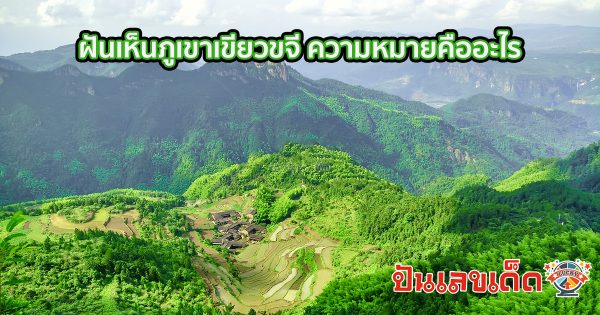 ฝันเห็นภูเขาเขียวขจี ความหมายคืออะไร เรามาวิเคราะห์ความหมาย และตีหาเลขเด็ด เสี่ยงโชคงวดนี้