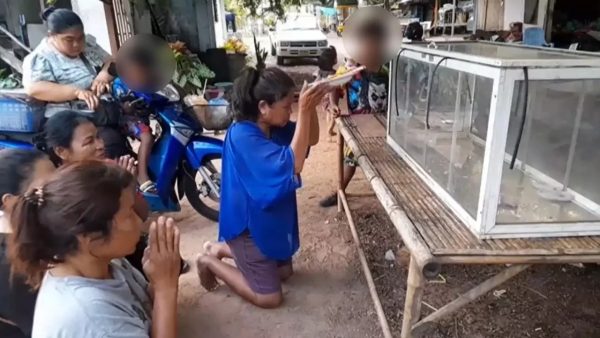 ฝันเห็นงูเผือก2ตัวเลขเด็ด - "Dreamed of seeing an albino snake, 2 lucky numbers"
