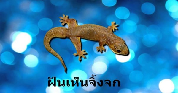 ฝันว่าเห็น-"Dreamed that I saw"